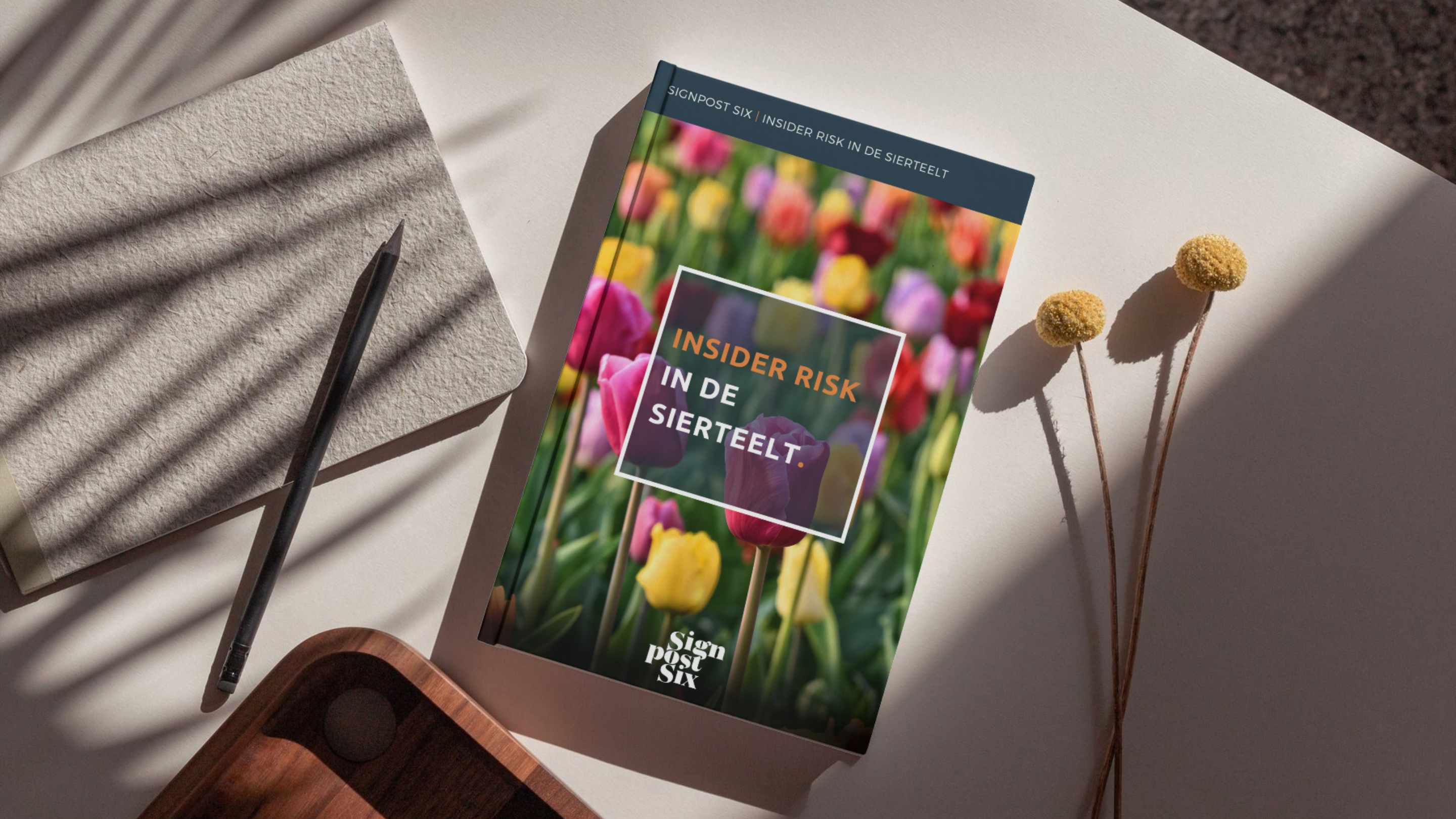 Insider Risk In de Siertelt