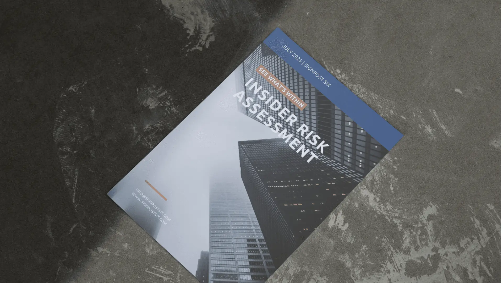 Insider Risk Assessment Brochure